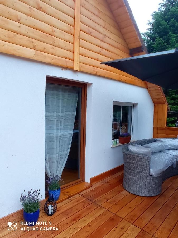 Apartamenty Sowianka Ludwikowice Kłodzkie Exterior foto