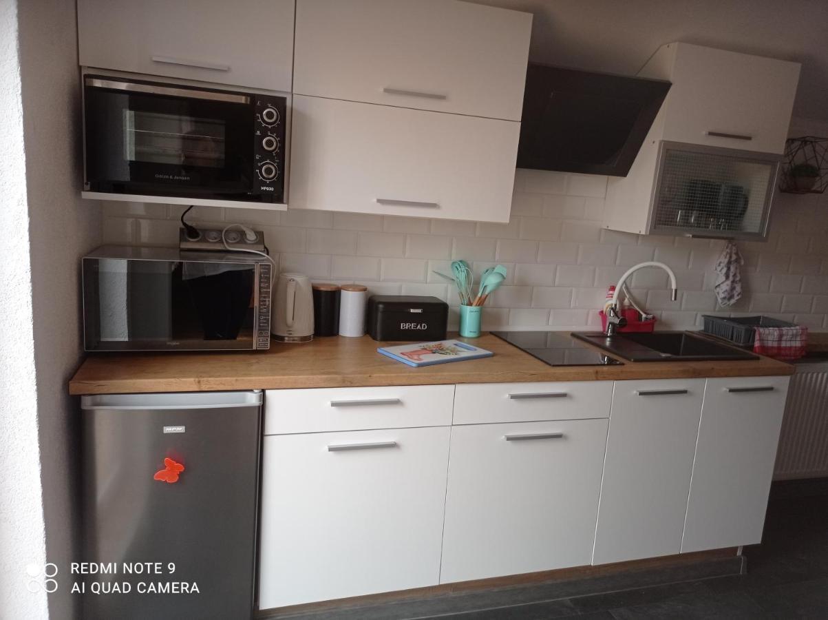 Apartamenty Sowianka Ludwikowice Kłodzkie Exterior foto